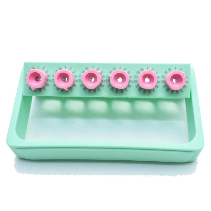 Dental Autoclavable Disinfection Record Times Endo Files Holder Box Instrument 6 Holes For Dentist Tool 1pcs