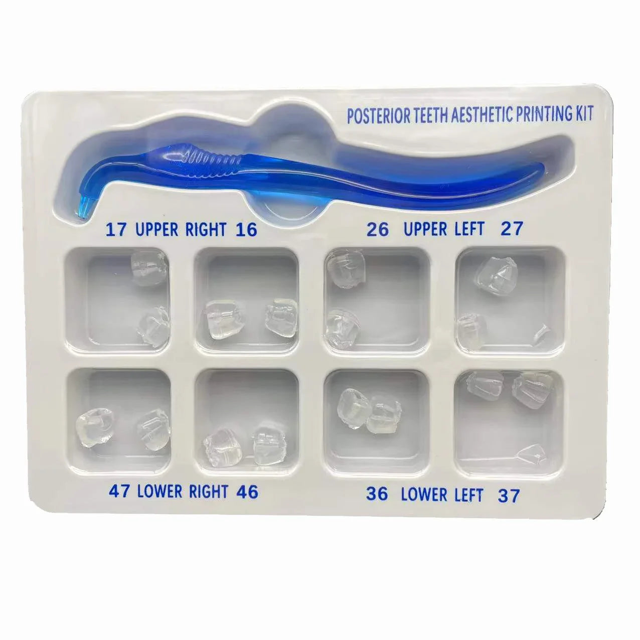 Dental Posterior Teeth Aesthetic Printing Mould Kit For Light Cure Composite Restoration Filling Tools