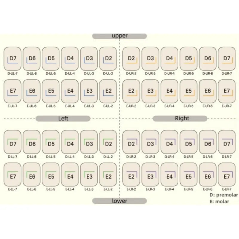 48pcs/box Dental Kid Crowns Preformed Metal Crown Stainless Steel Temporary Crowns Dentistry Orthodontic Materials Therapy Tools