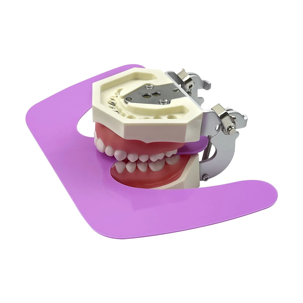 Dental Occlusal Plane Plate Mouth Guard Denture Convening Orthodontic Occlusal Maxillary Casting Jaw Fox Plane Plate Dentist