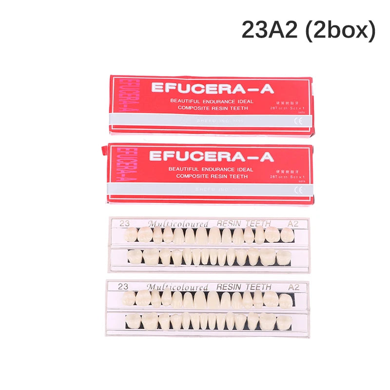 28teeth Resin Denture Teeth Dental Synthetic Resin Teeth Teeth Teaching Model Permanent Teeth Model Dental Material